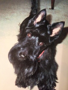 Duffy MacDuff